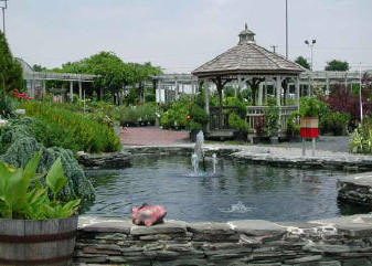 pond liner